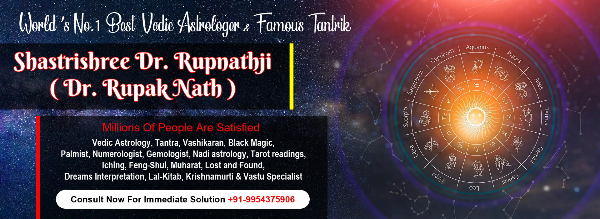 Best Vedic Astrologer